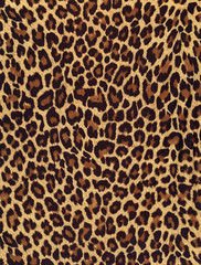 Leopard texture