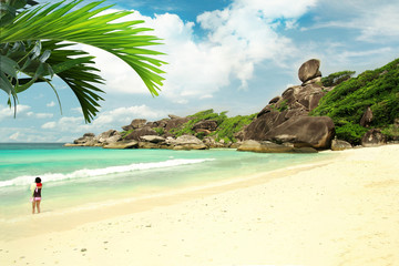 white sand beach island with coconut palm