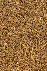 background of red unpolished rice seeds