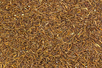 background of red unpolished rice seeds