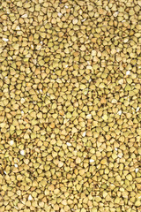 background from buckwheat seeds