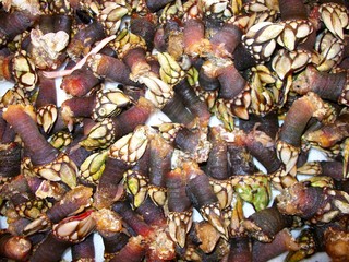 Makro, K&uuml;che, Lebensmittel, Gew&uuml;rze, Schokolade