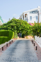 Obraz premium building green palm plant