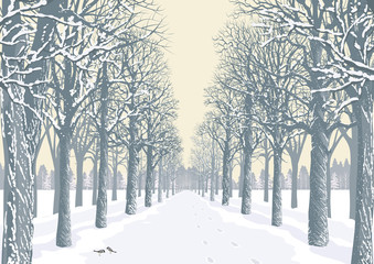 Alley with snowy trees silhouettes in a park - 73967285