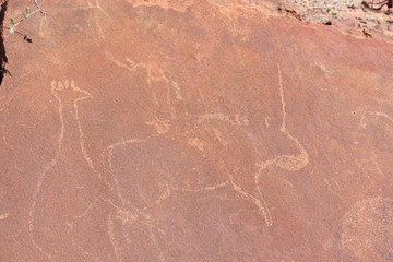 Felsmalerei Damaraland