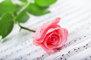 Rose with musical symbols