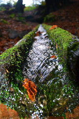 dynamischer Wasserlauf