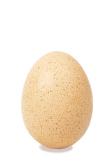 Single brown chicken egg isolated on white