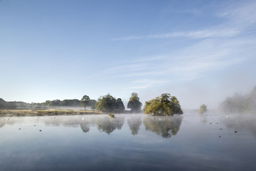 Calm still lake with mist hanging over water on frosty Autumn Fa - obrazy, fototapety, plakaty
