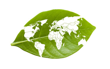 World map on leaf