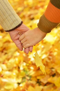 Hands against fallen leaves