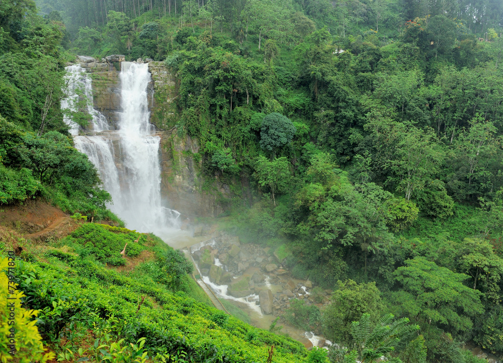 Canvas Prints Ramboda falls in Sri Lanka