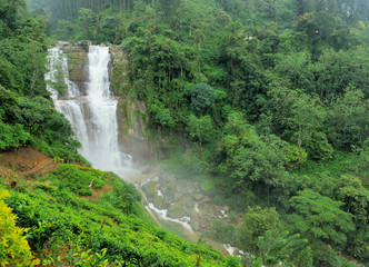 Fototapeta na wymiar Ramboda falls in Sri Lanka