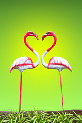 Flamingos on green background