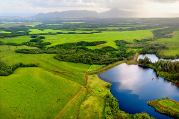 Aerial view of green fields on Kauai, Hawaii - Powered by Adobe