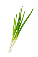 Green Onion