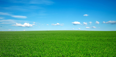 green field