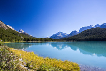 Obraz na płótnie Canvas Sunwapta Lake, Jasper National Park in Alberta, Canada