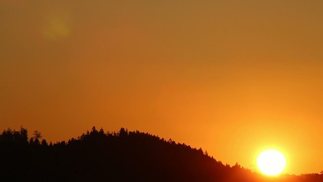 Sonnenaufgang hinter Wald