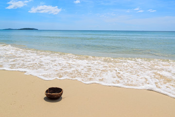 Fototapeta na wymiar Coconut on the beach