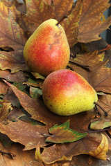 Pears on autumn leaves