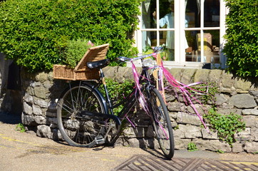 An old bicycle planted with flowers