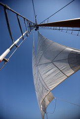 Sails in the  sky