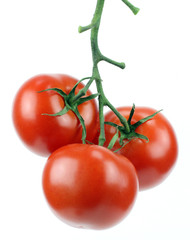 Bunch of fresh tomatoes..