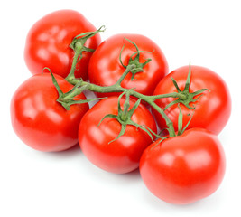 Bunch of fresh tomatoes