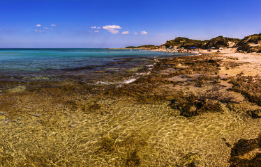 Costa del Salento: riserva di Torre Guaceto.- (Puglia) ITALIA-