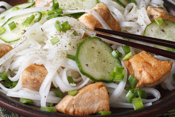Asian rice noodles with chicken and cucumbers macro