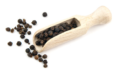 black pepper isolated