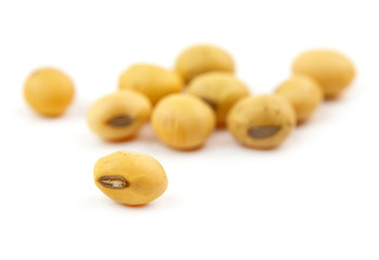 soybean isolated