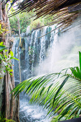 Beautiful view of waterfall in jungle.