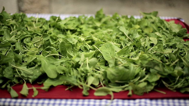 Green leaves of arugula. Medium shot. Dolly shot