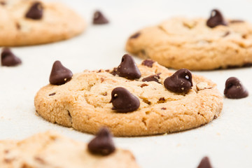 fresh backed chocolate chip cookies