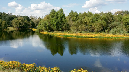 Brazos Bend State Park