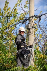 Telephone Engineer At Work