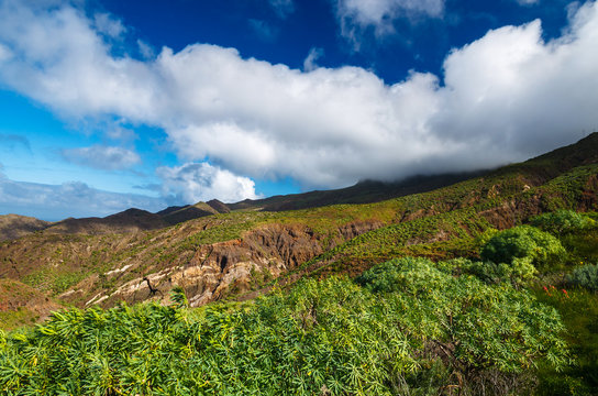 Tropical mountain landscape of La Gomera island, Spain