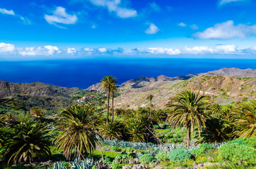 Fototapeta na wymiar Palm trees in tropical mountain landscape of La Gomera island