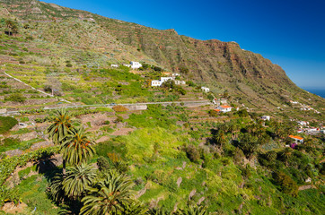 Fototapeta na wymiar Palm trees in mountain valley, Hermigua, La Gomera island