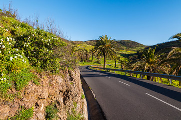 Road in tropical mountain landscape, La Gomera island, Spain