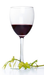 Red wine glass with green leaves