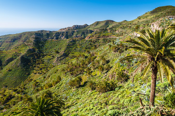 Fototapeta na wymiar Mountains landscape with palm trees, La Gomera island, Spain