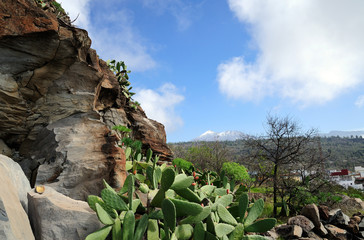 Arguayo - Santiago Tal