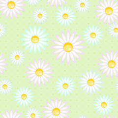 Seamless pattern of camomiles.