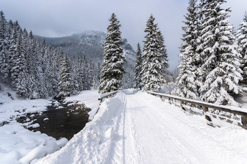 Fototapeta na wymiar Winter trail in Koscieliska valley, Tatry Mountains, Poland