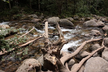 Rivière de Carança,Pyrénées orientales