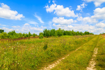 Fototapeta na wymiar Rural road in green field on sunny summer day, Poland