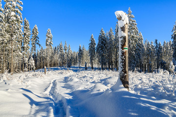 Winter landscape of Rusinowa polana, Tatra Mountains, Poland © pkazmierczak